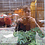 Betsy_Moore-Galinsky Betsy_Moore-Galinsky