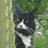 laurie_kern
